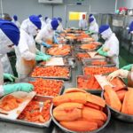 Ngành chế biến nông sản Nam Định bứt phá mạnh mẽ